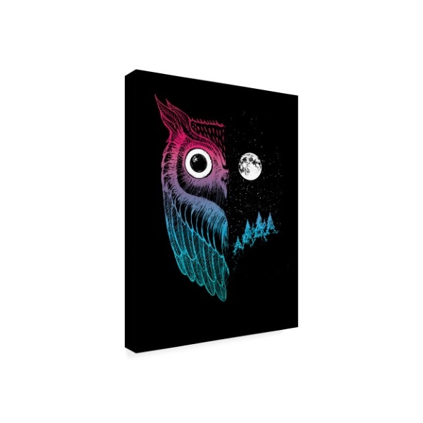 Michael Buxton 'Night Owl Moon' Canvas Art,14x19